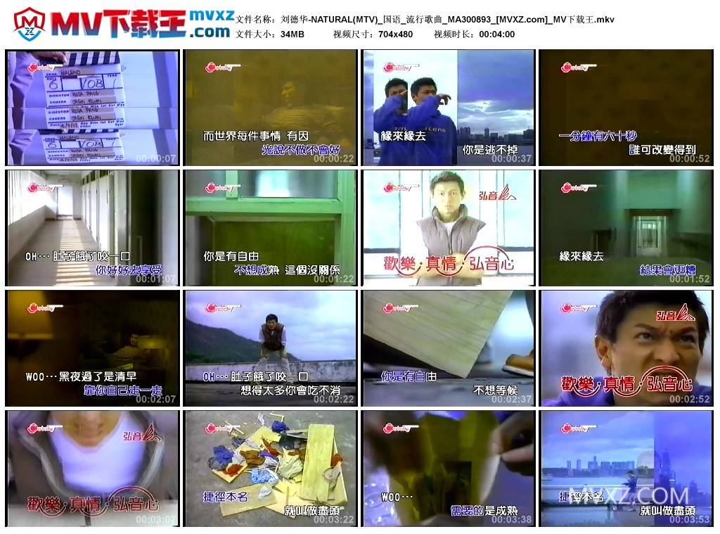 刘德华-NATURAL(MTV)_国语_流行歌曲_MA300893